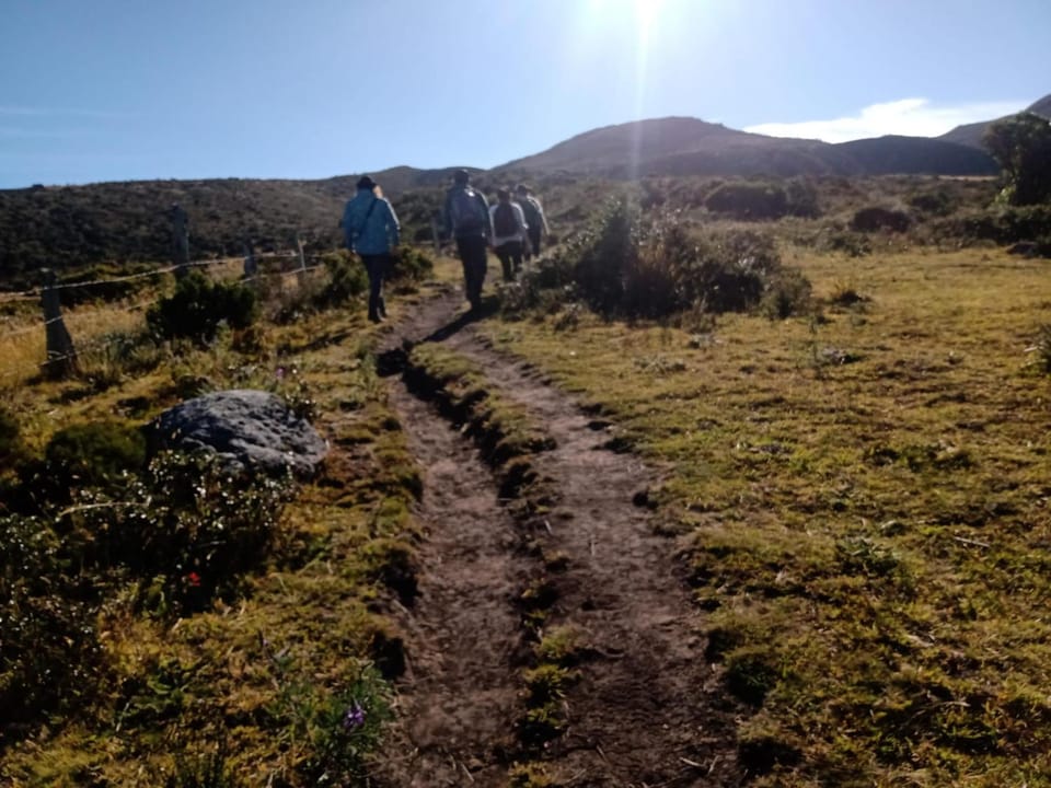 Hiking