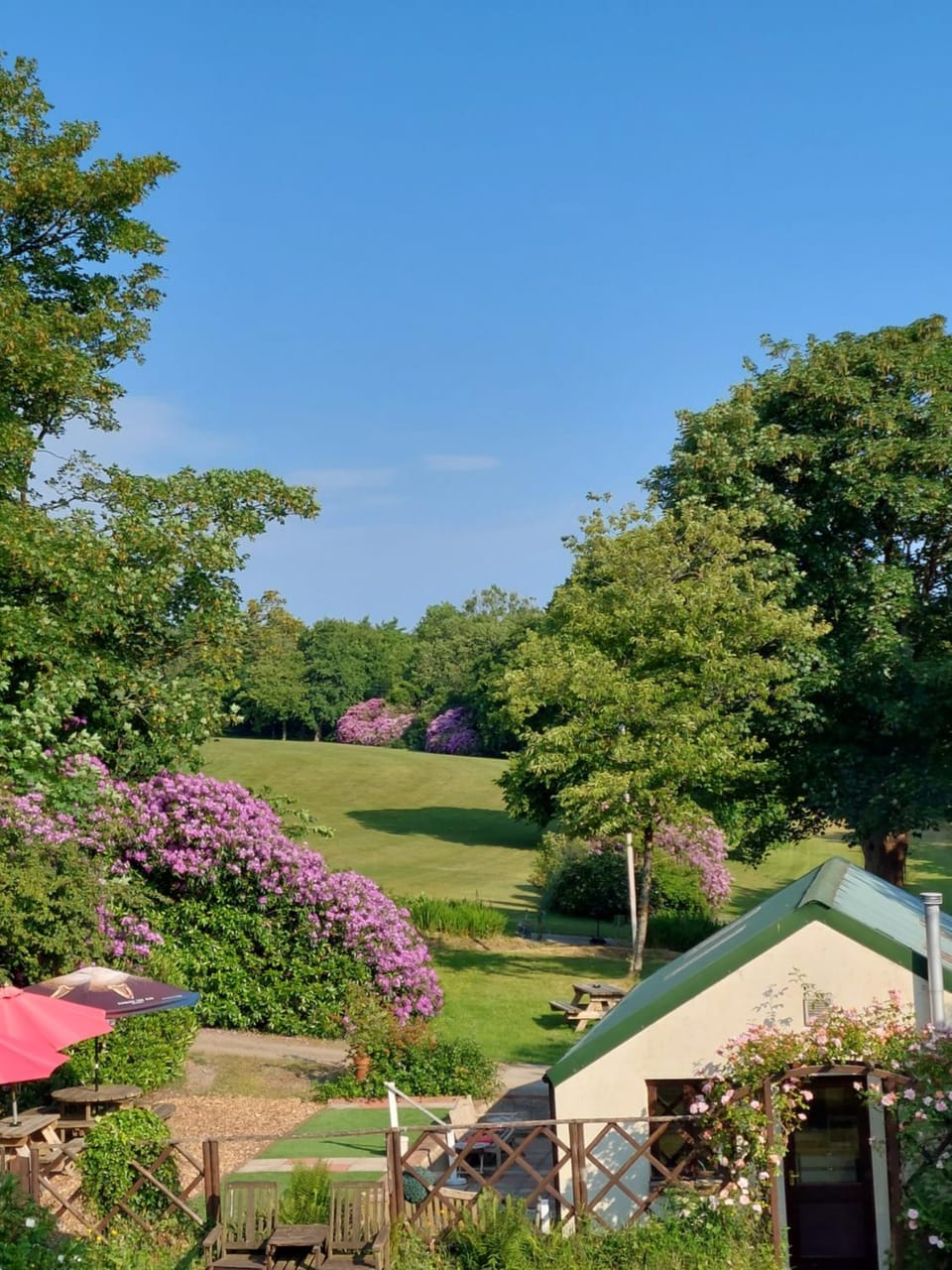 View (from property/room), Garden view