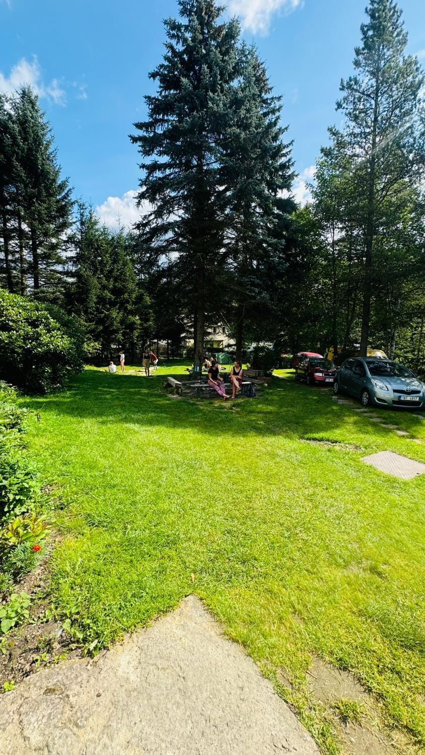 Spring, Day, Natural landscape, Garden, Parking