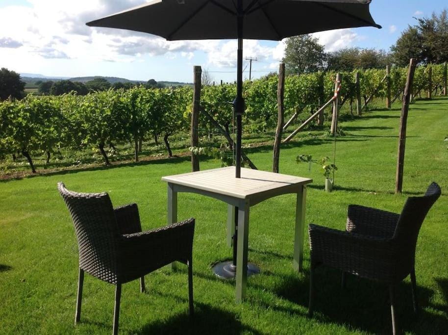 Vineyard lodge in Herefordshire Apartment in Malvern Hills District