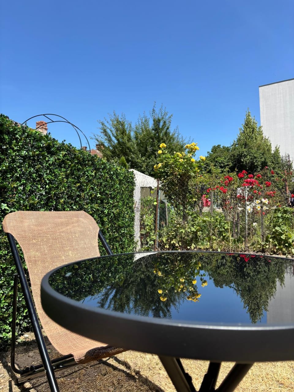 City Center Velor Residence AC, Smart TV, Garden Apartment in Cluj-Napoca