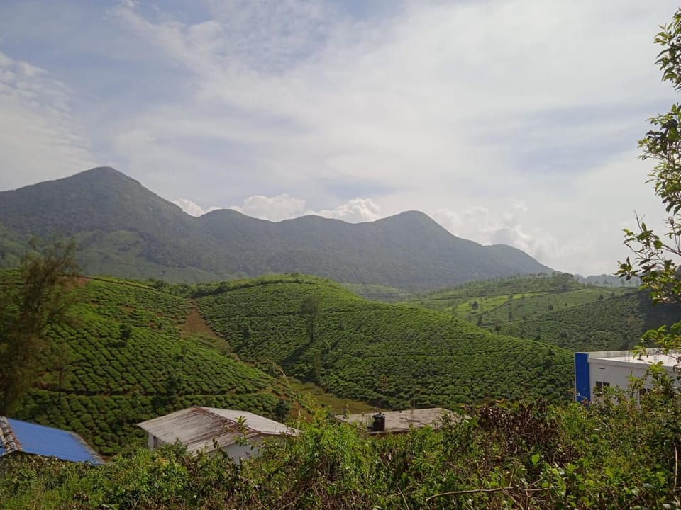Mountain view