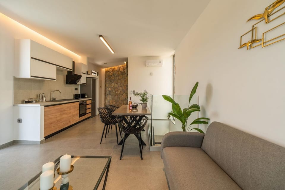Kitchen or kitchenette, Living room, Dining area, oven, stove, air conditioner