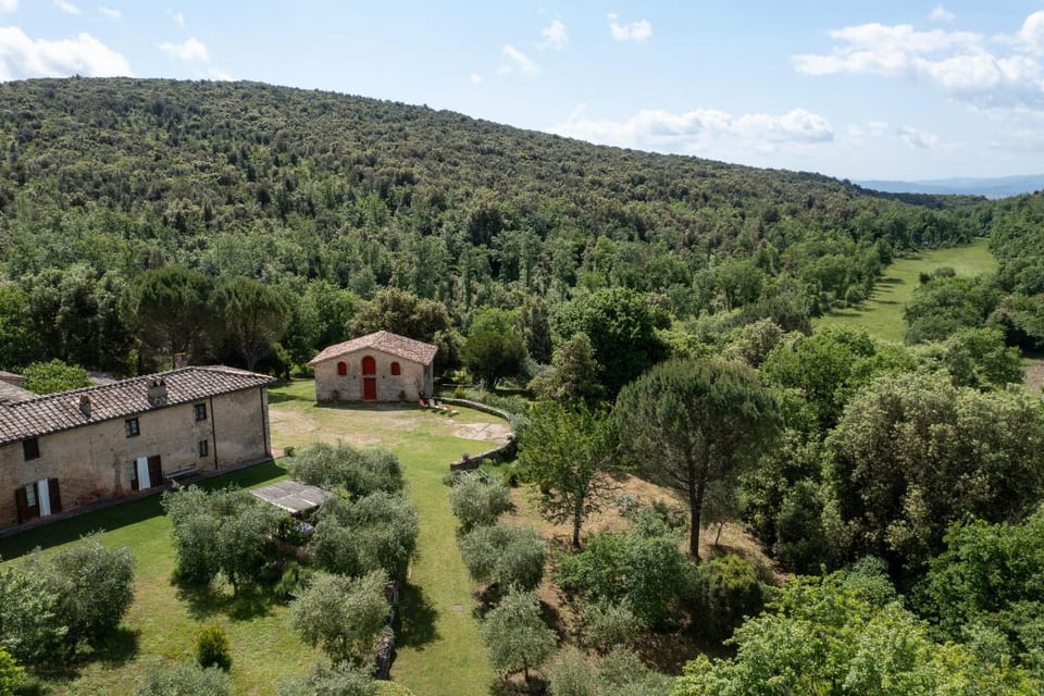 Bird's eye view, Garden, Garden view