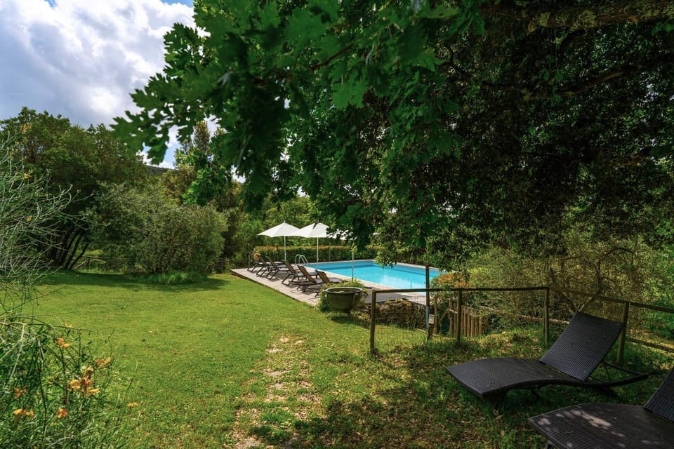 Garden, Swimming pool