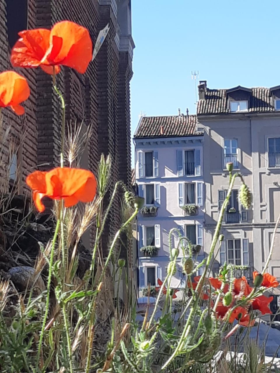 Property building, Nearby landmark, Facade/entrance, Spring, Day, Neighbourhood, Landmark view