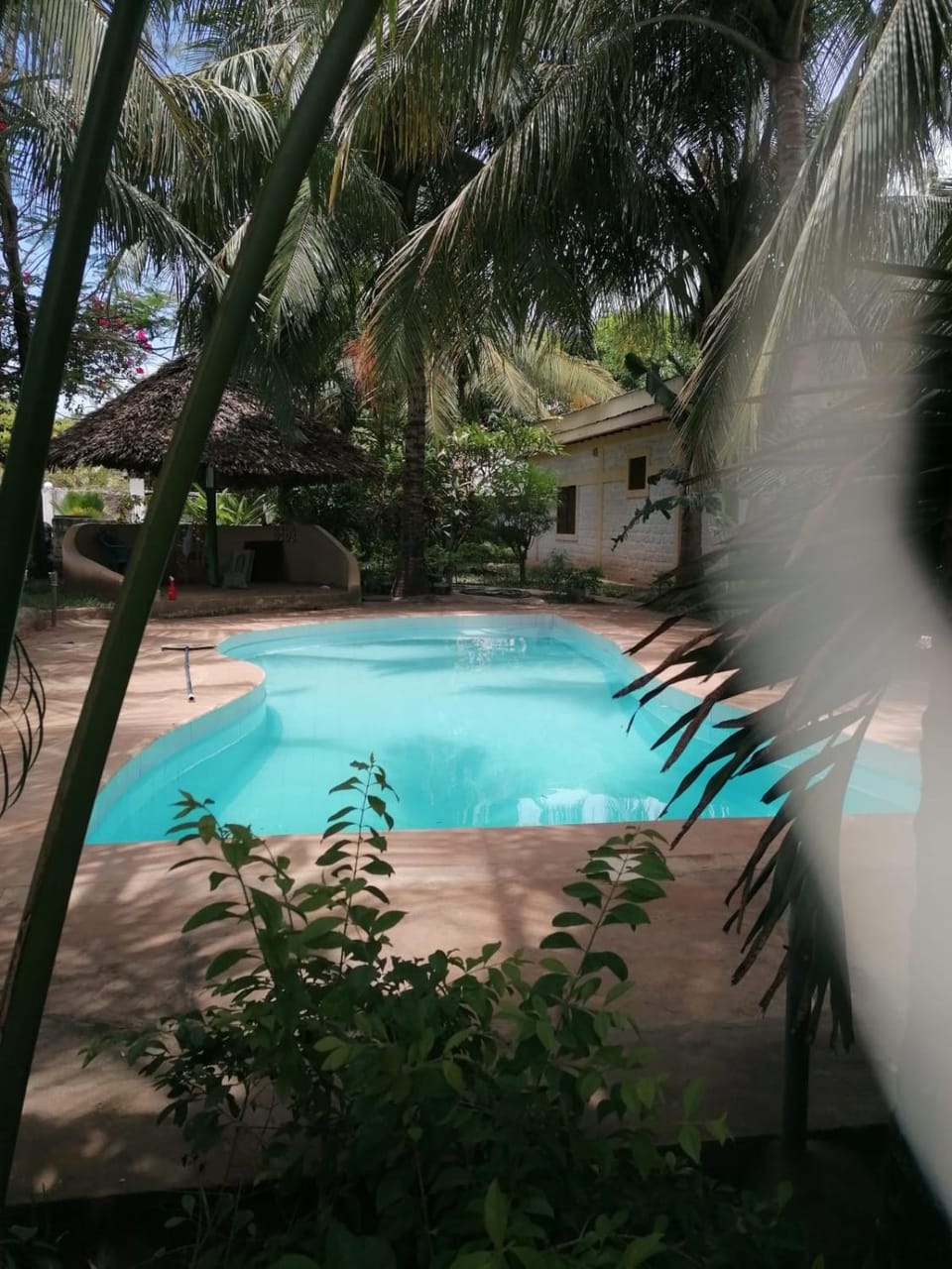 Susans cottages diani beach Vacation rental in Kenya