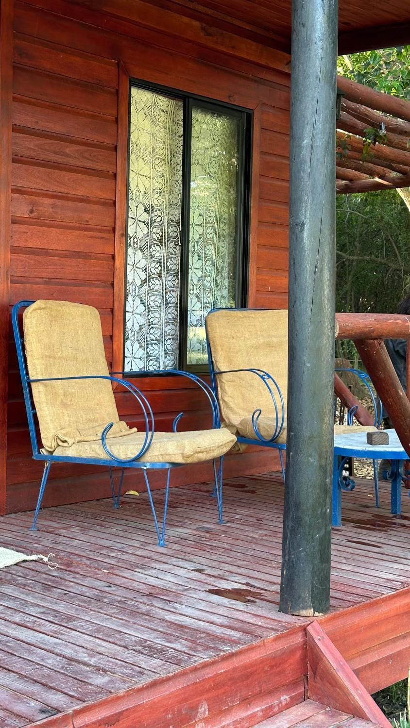 Patio, sunbed