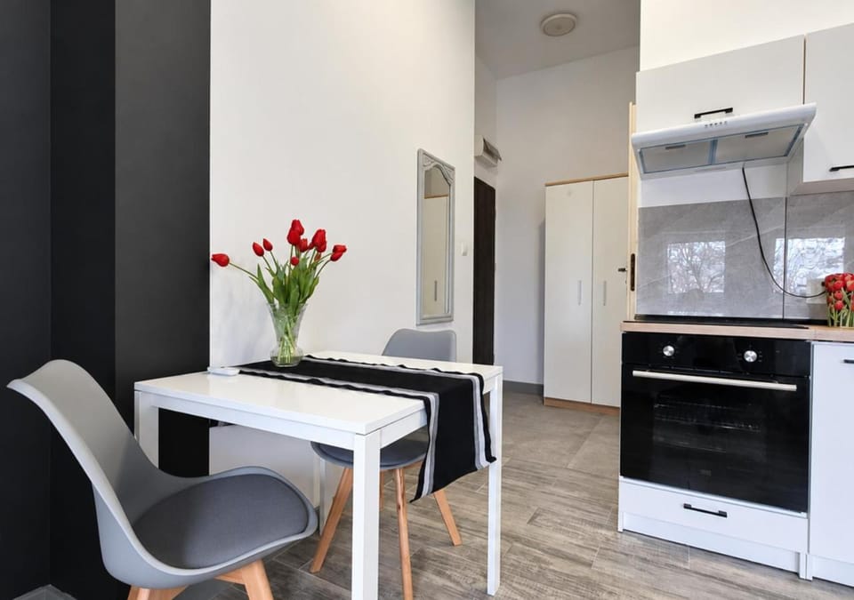 Kitchen or kitchenette, Living room, Seating area, Dining area, oven, stove