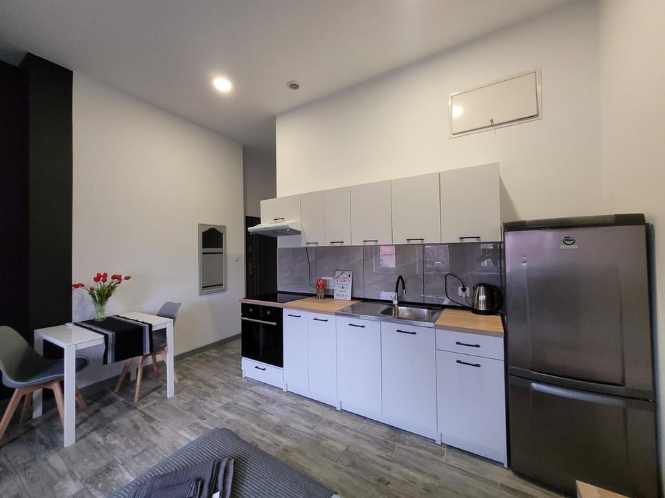 Kitchen or kitchenette, Dining area, oven, stove