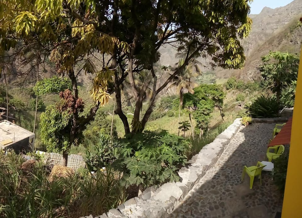 View (from property/room), Garden view