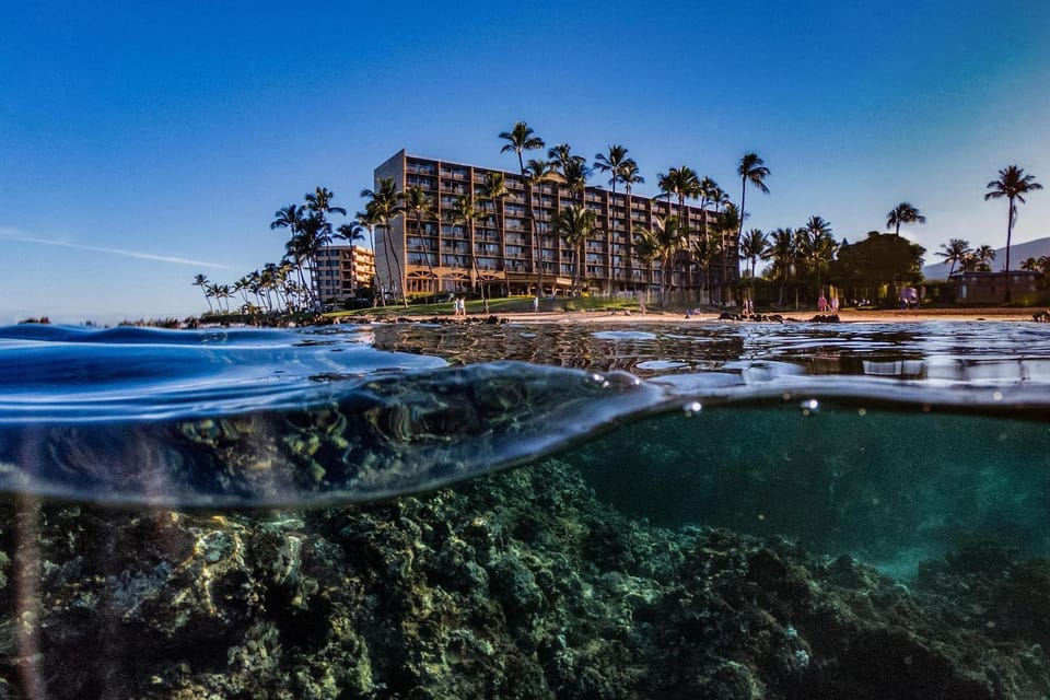 Mana Kai 314 - Experience Stunning Coastal Views on Keawakapu Beach, Split AC House in Wailea