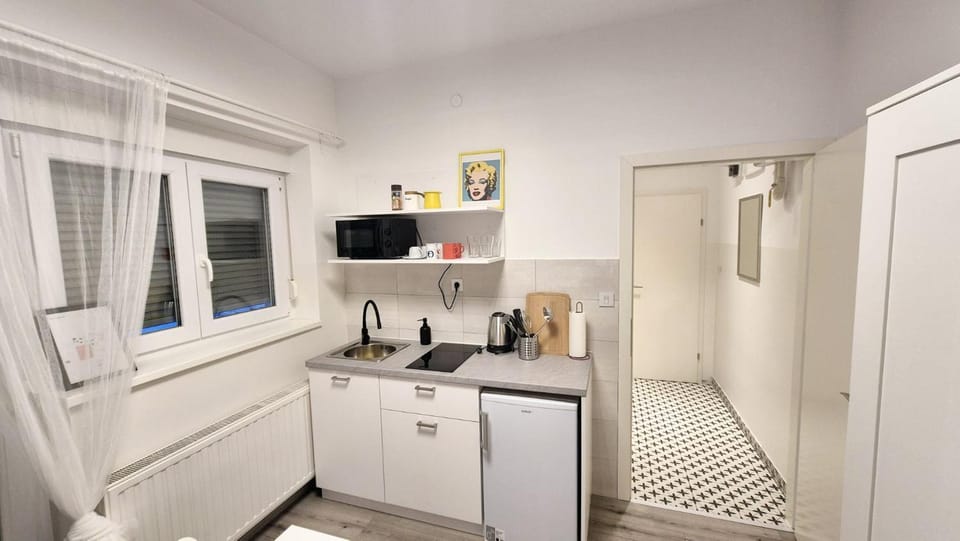 Missy-free parking in the city center Apartment in City of Zagreb