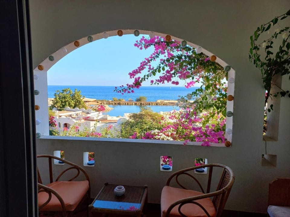 Domina Coral Bay - Salt Lake & Sea view Hotel in Sharm El-Sheikh