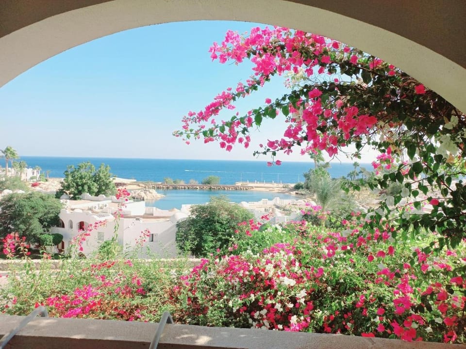 Day, Natural landscape, Balcony/Terrace, Sea view