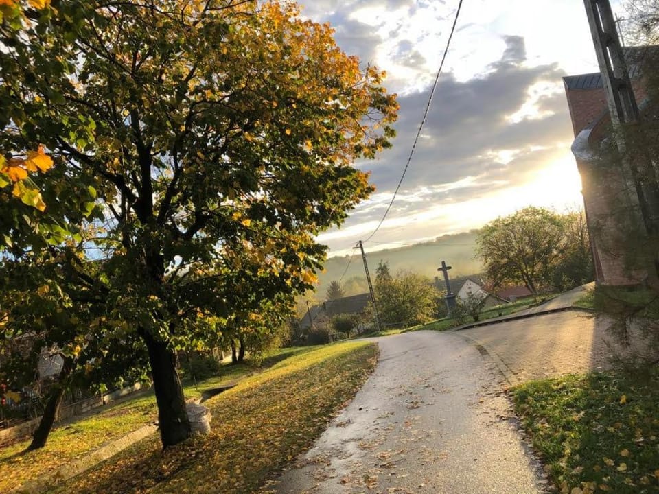 Neighbourhood