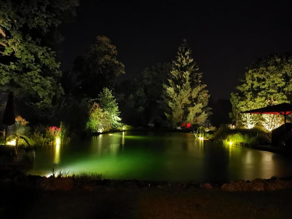 Night, Lake view