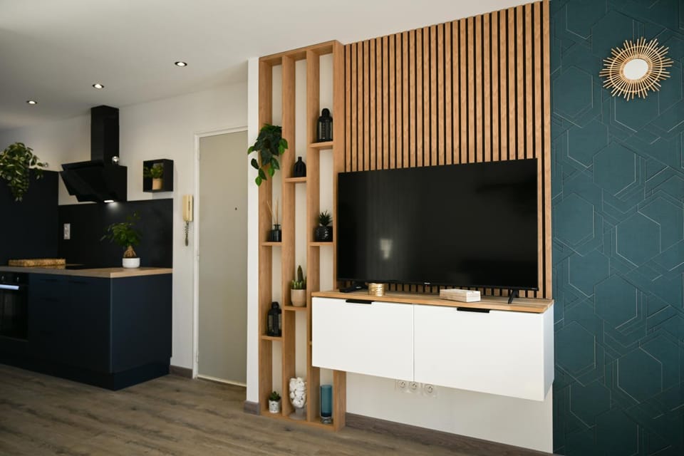 TV and multimedia