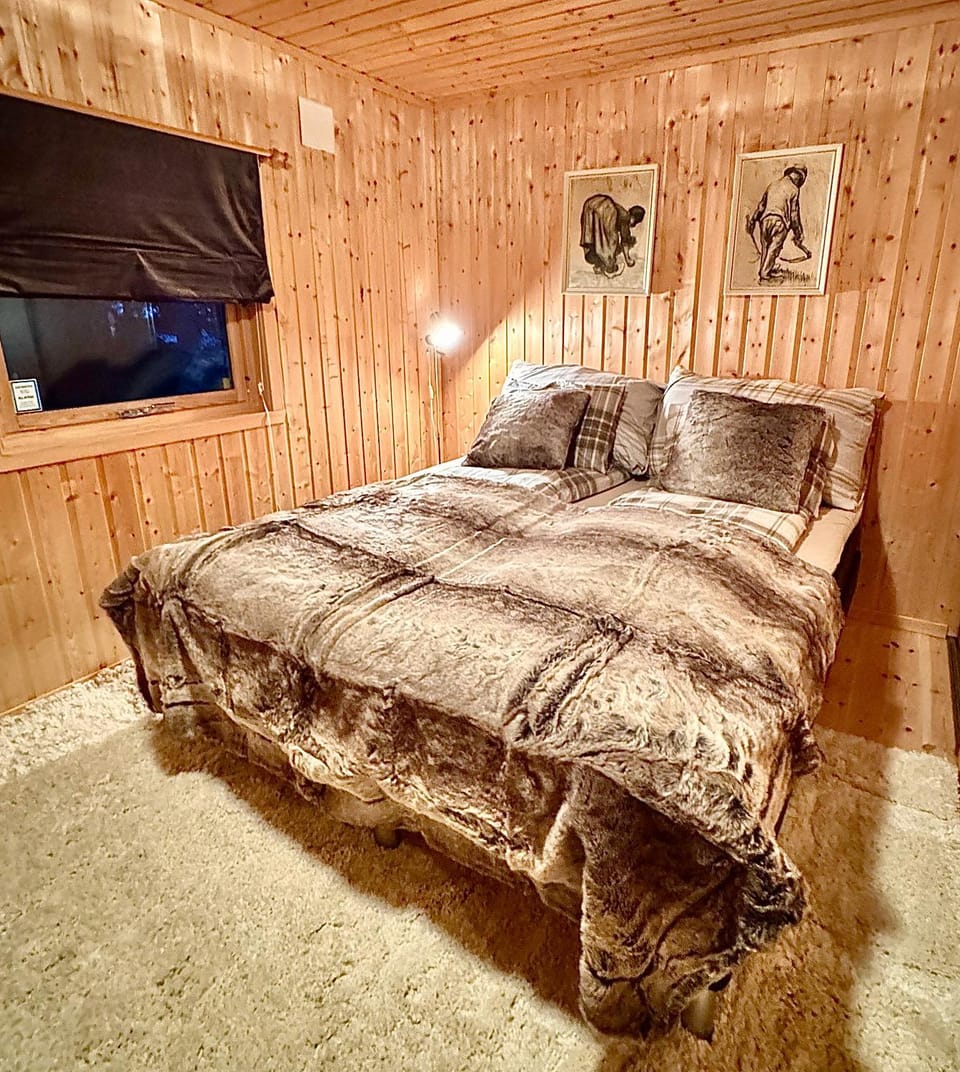 Aurora Haven - With jacuzzi House in Troms Og Finnmark
