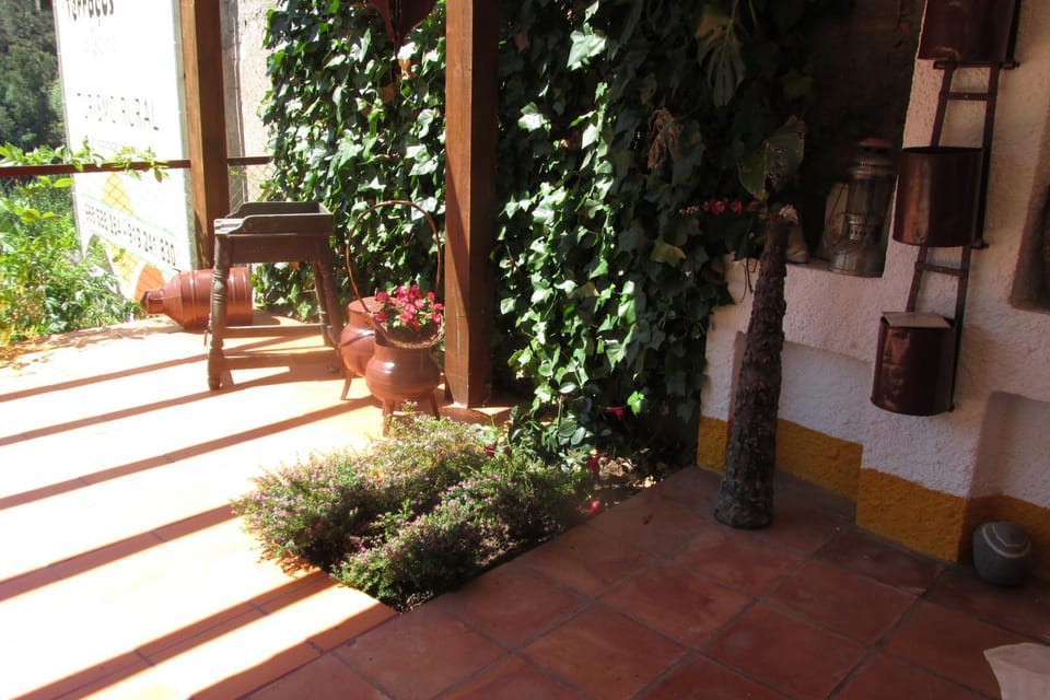 Day, Other, Garden view
