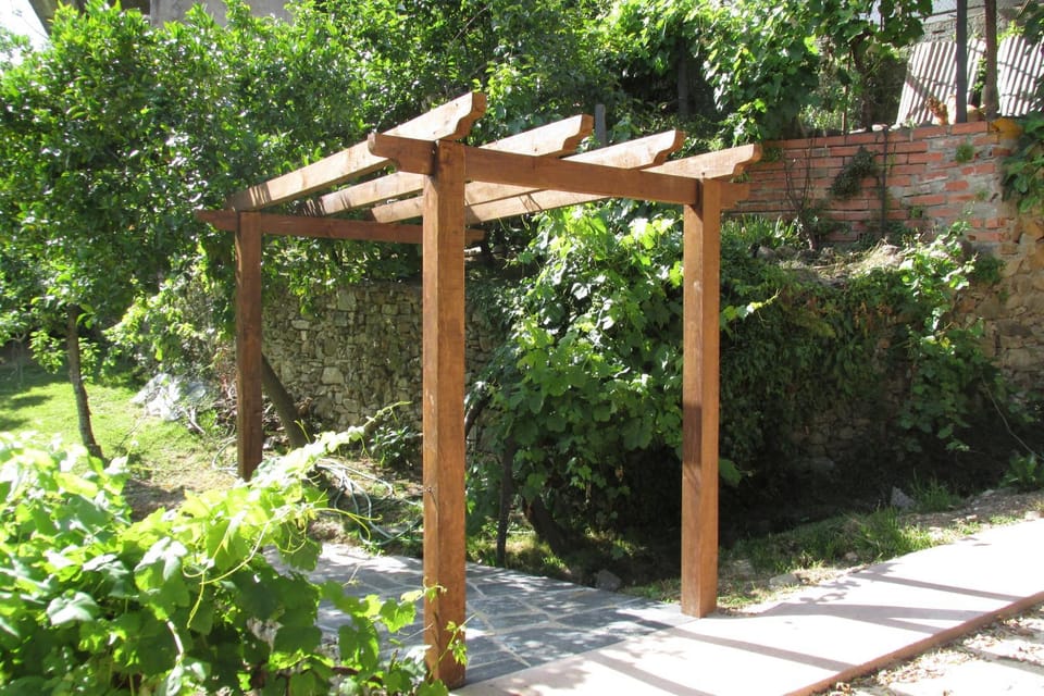 Patio, Garden view