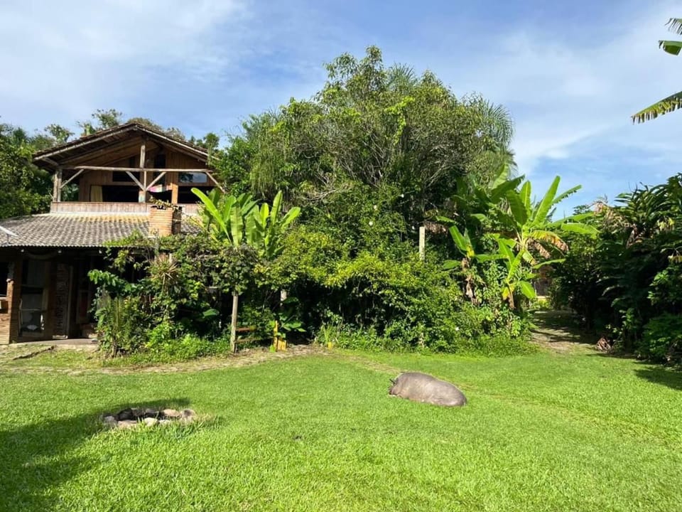 Day, Natural landscape, Garden, Garden view
