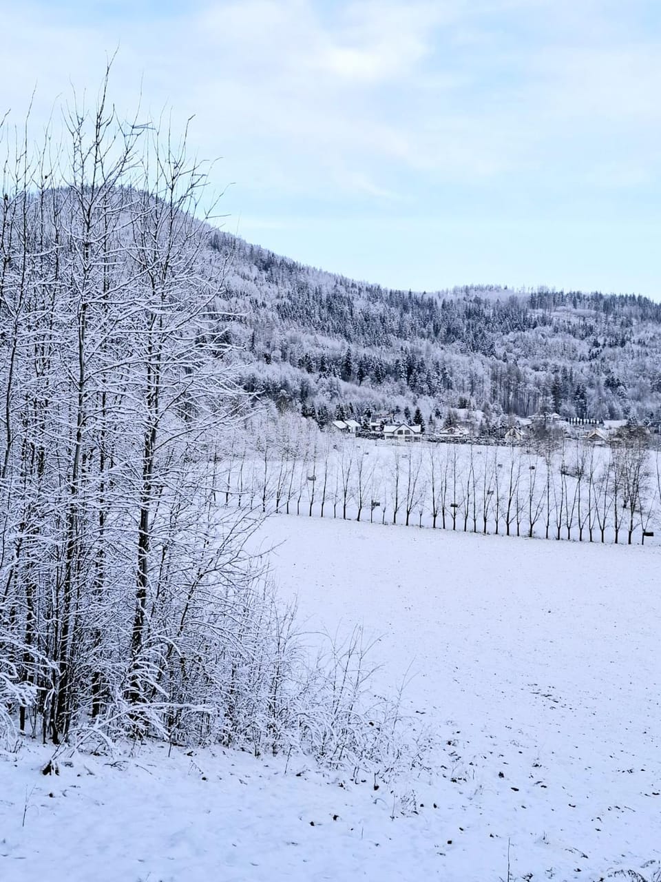 Apartamenty Chilldziówka w Miłkowie z sauną i z grillem Karpacz Apartment in Lower Silesian Voivodeship
