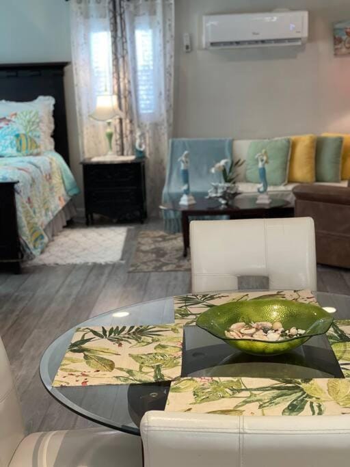 Bright Spacious Studio Near City and Palm Beach Apartment in West Palm Beach
