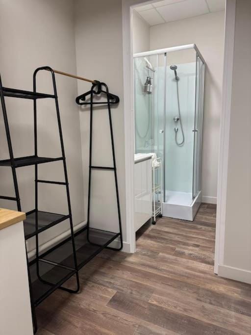 Logement centre-ville Muret Apartment in Occitanie