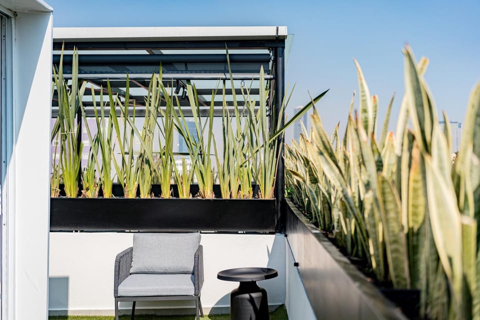 Mint Roma Residence Apartment in Mexico City