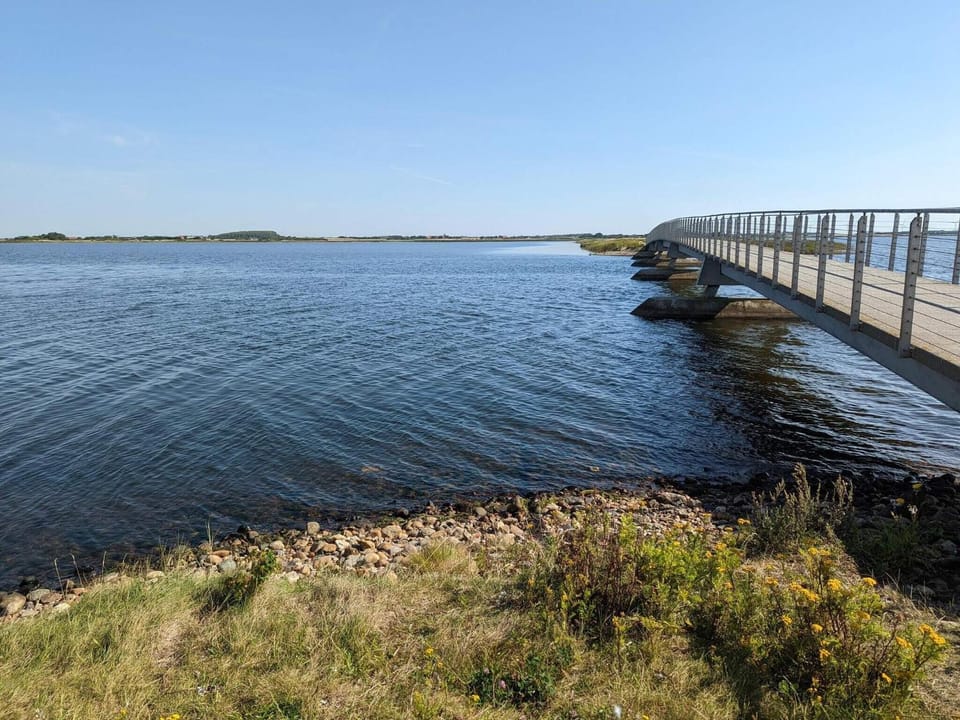 Lake view