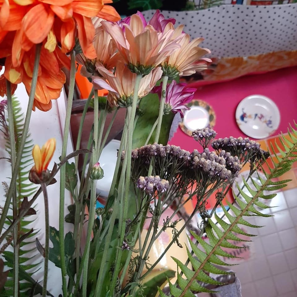 Cozy Botafogo Hostel Vacation rental in Rio de Janeiro