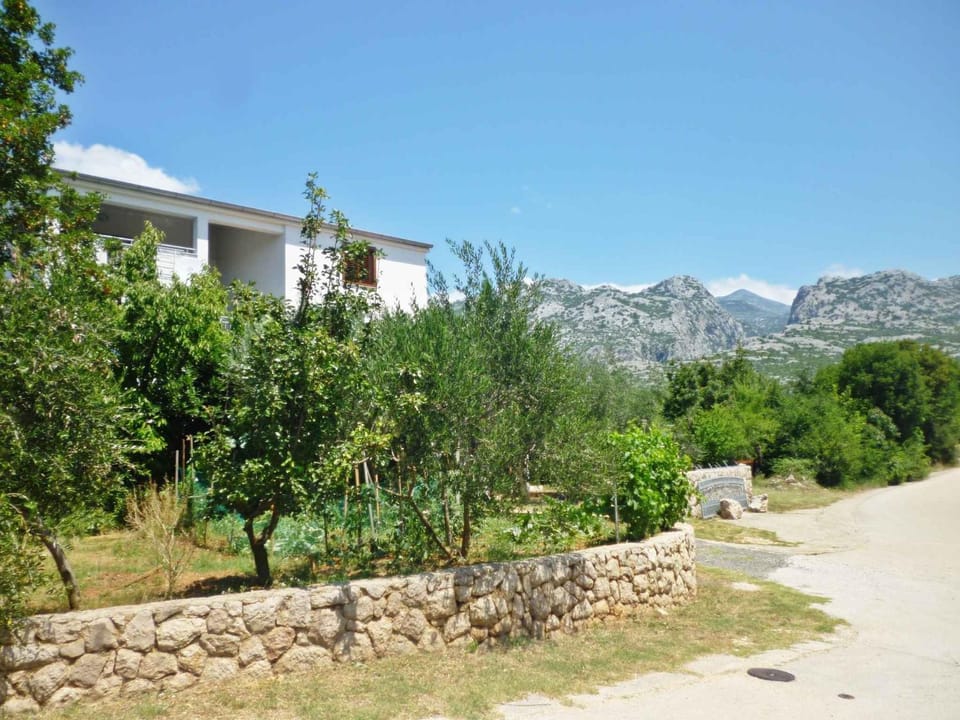 Property building, Summer