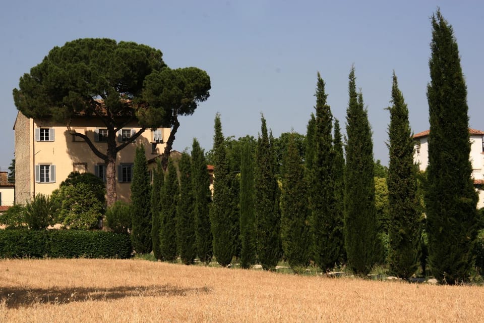 Natural landscape