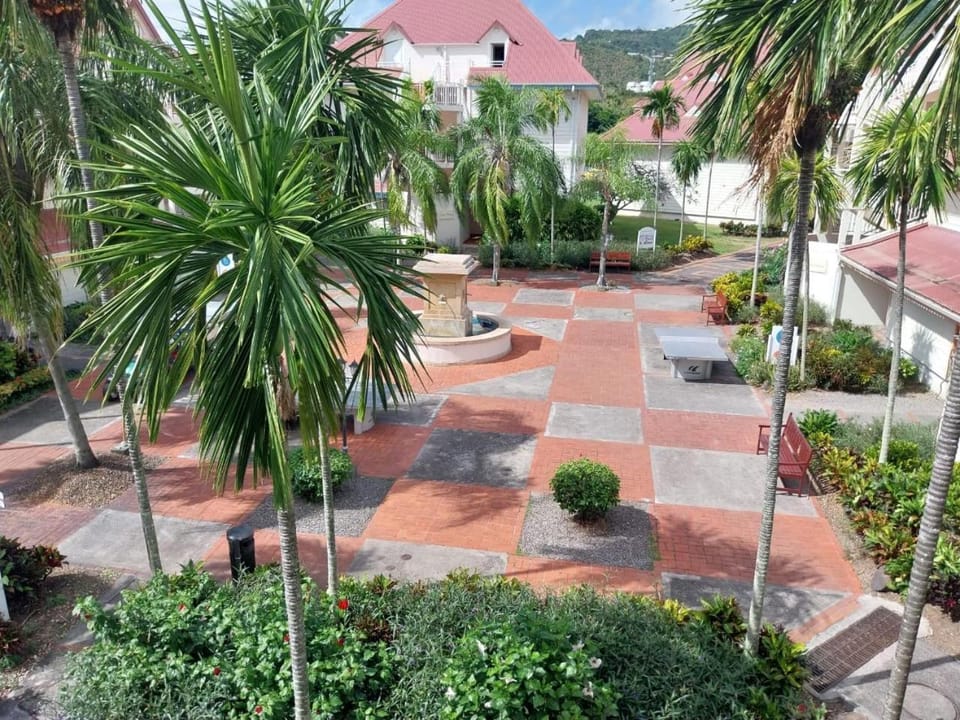 Garden, View (from property/room)