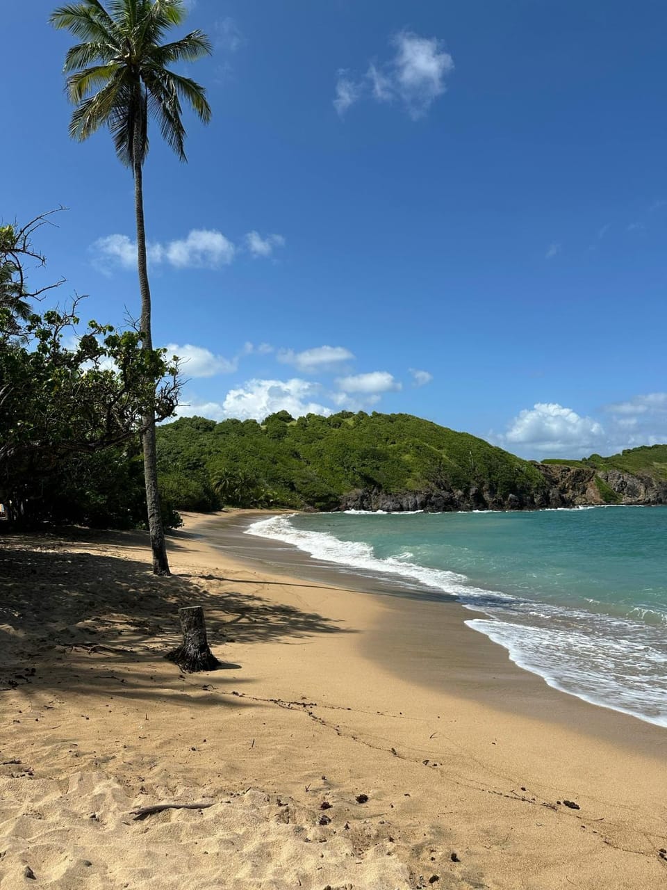Natural landscape, Beach