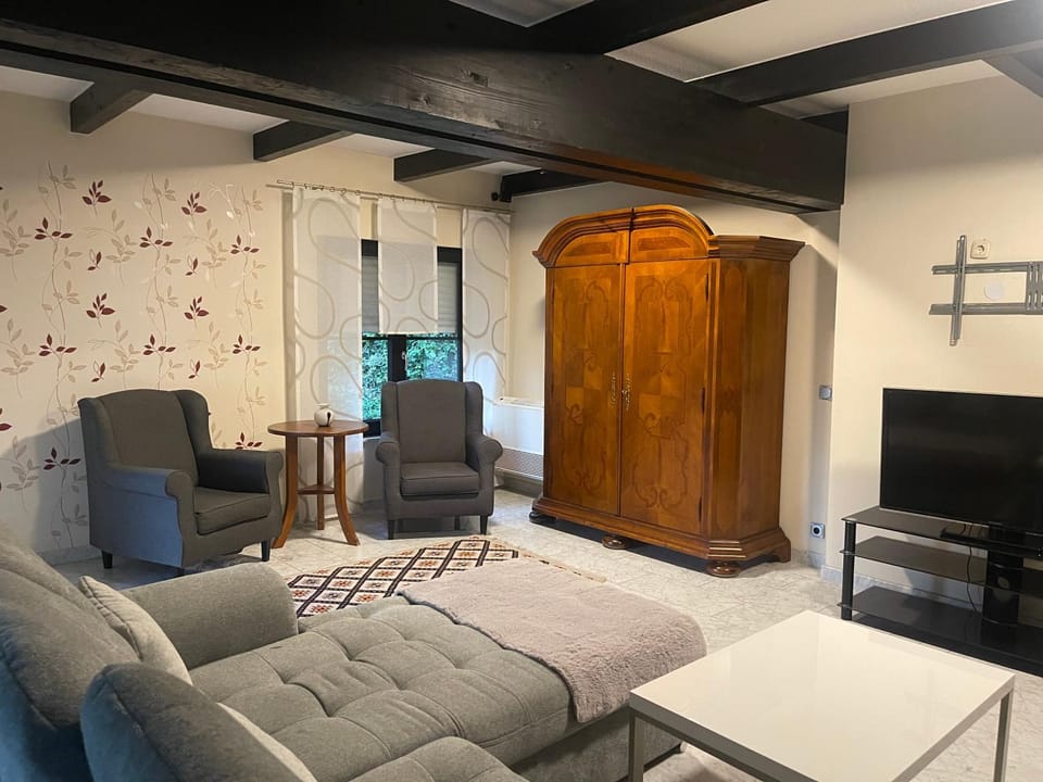 Gehobene drei Zimmer Ferienwohnung mit Esszimmer und Kamin mit überdachter Terrase und dem Teich idyllisch sich zu erholen Apartment in Hesse