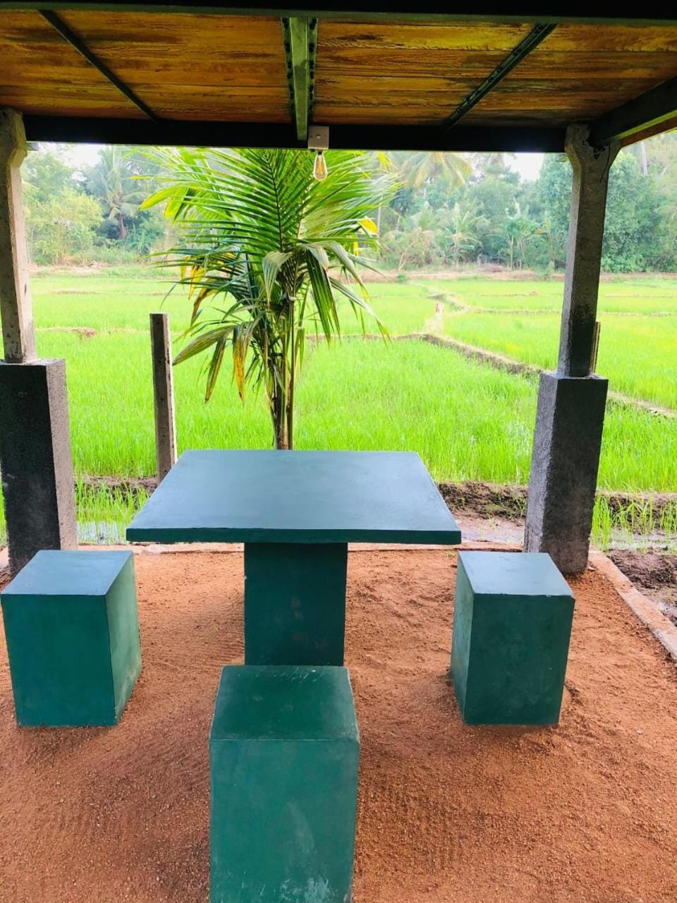 Wilpattu Restaurant & Guest house Hotel in Sri Lanka