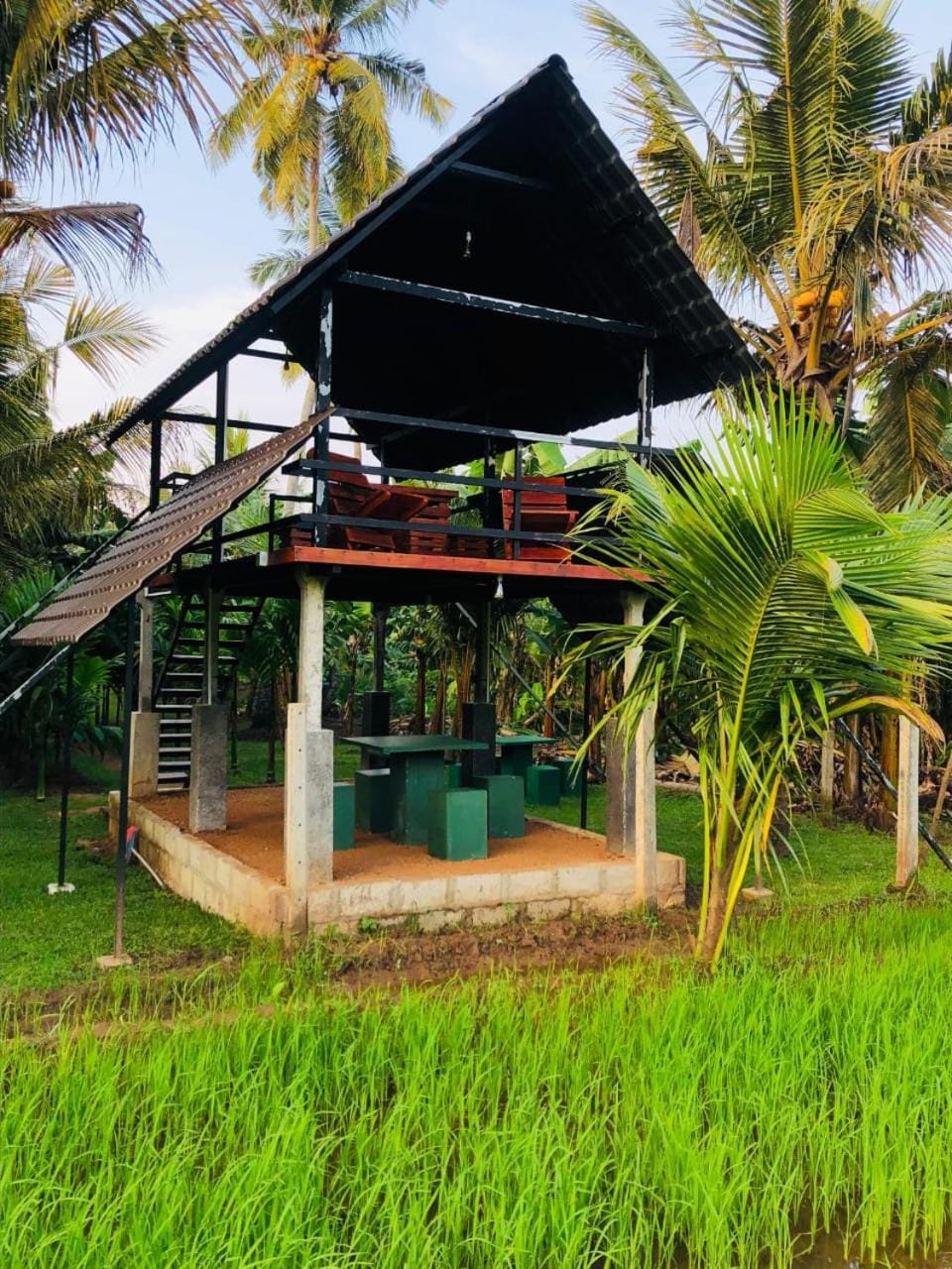 Wilpattu Restaurant & Guest house Hotel in Sri Lanka