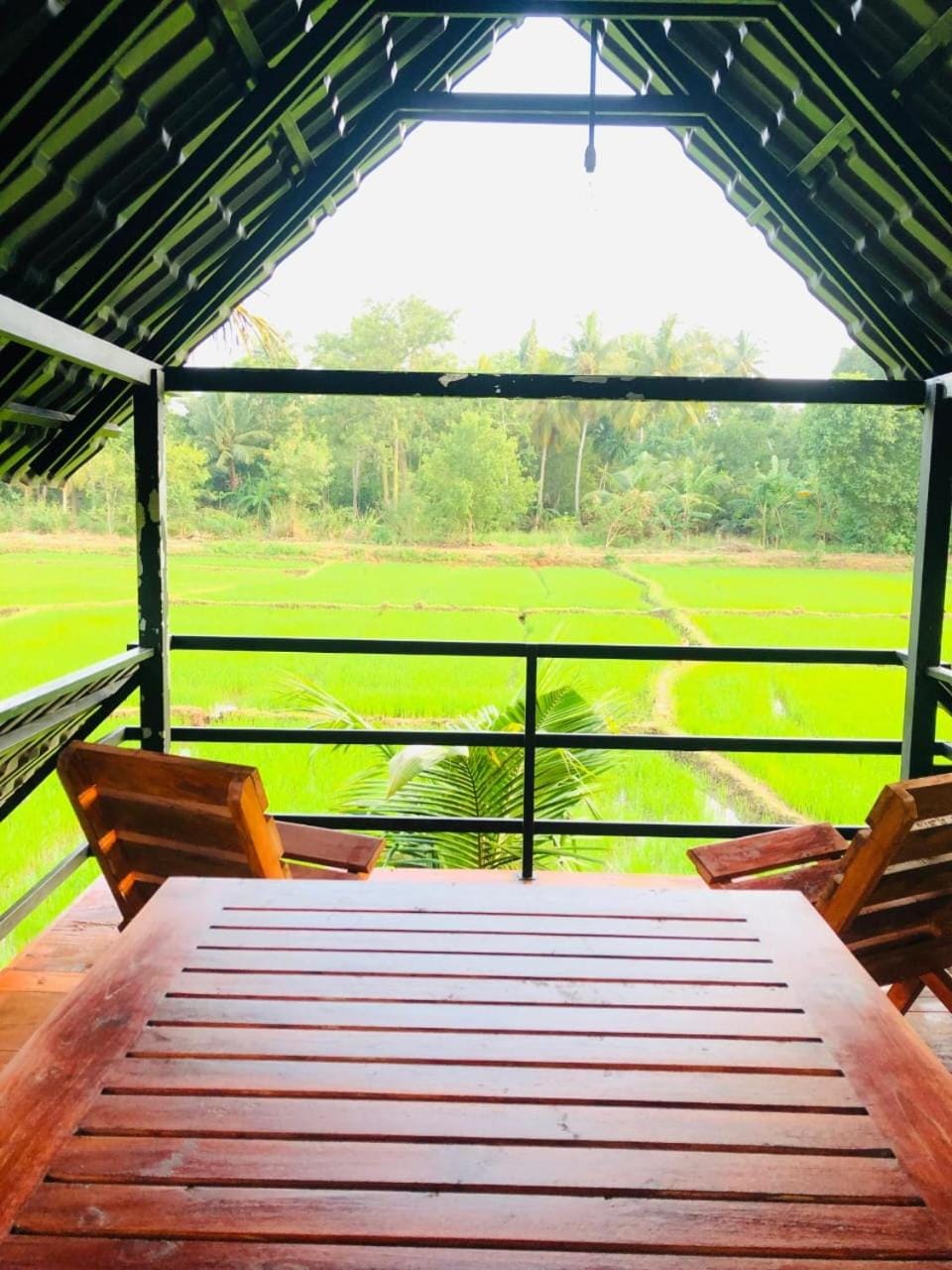 Wilpattu Restaurant & Guest house Hotel in Sri Lanka