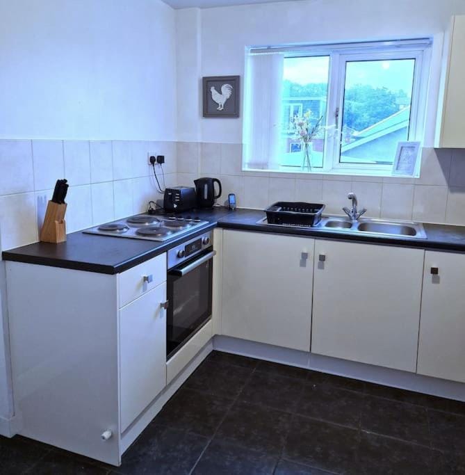 Kitchen or kitchenette, stove, toaster