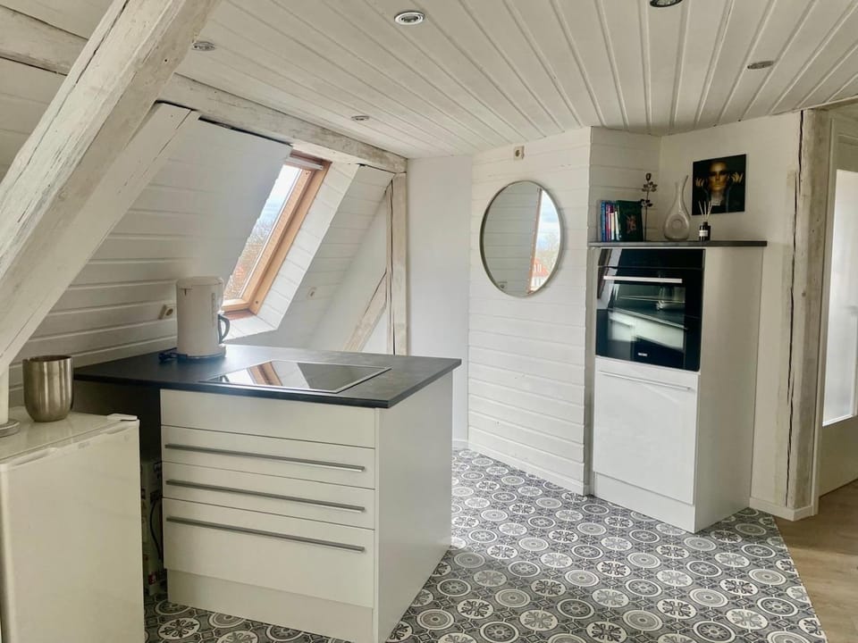 Kitchen or kitchenette, minibar, oven, stove