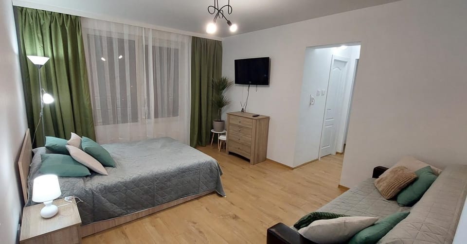 Central Panorama Apartment in Romania