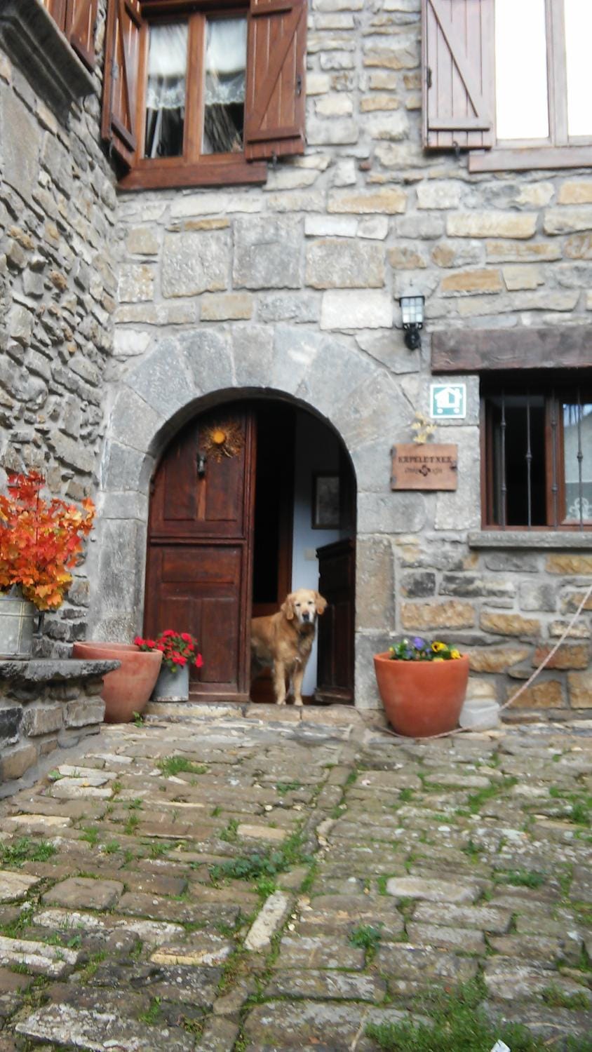 Property building