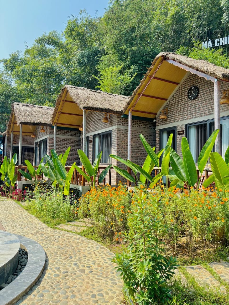 Property building, Garden, Garden view