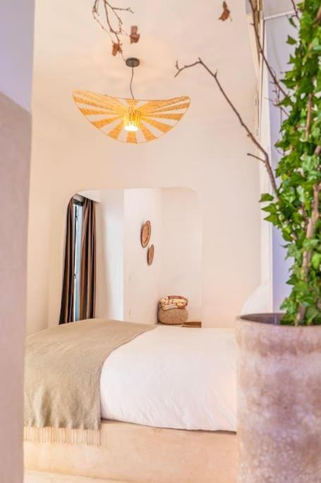 Riad Orb Private Riad Breakfast Included Apartment in Marrakesh