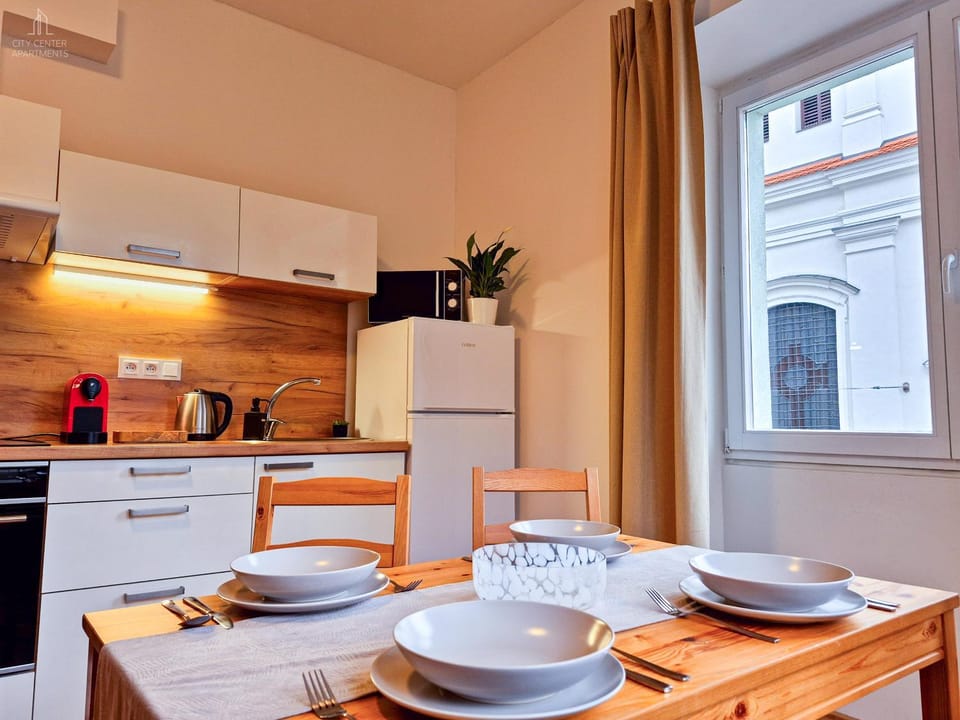 City Center Apartments - Moderna Brno Římské náměstí IV Apartment in Brno