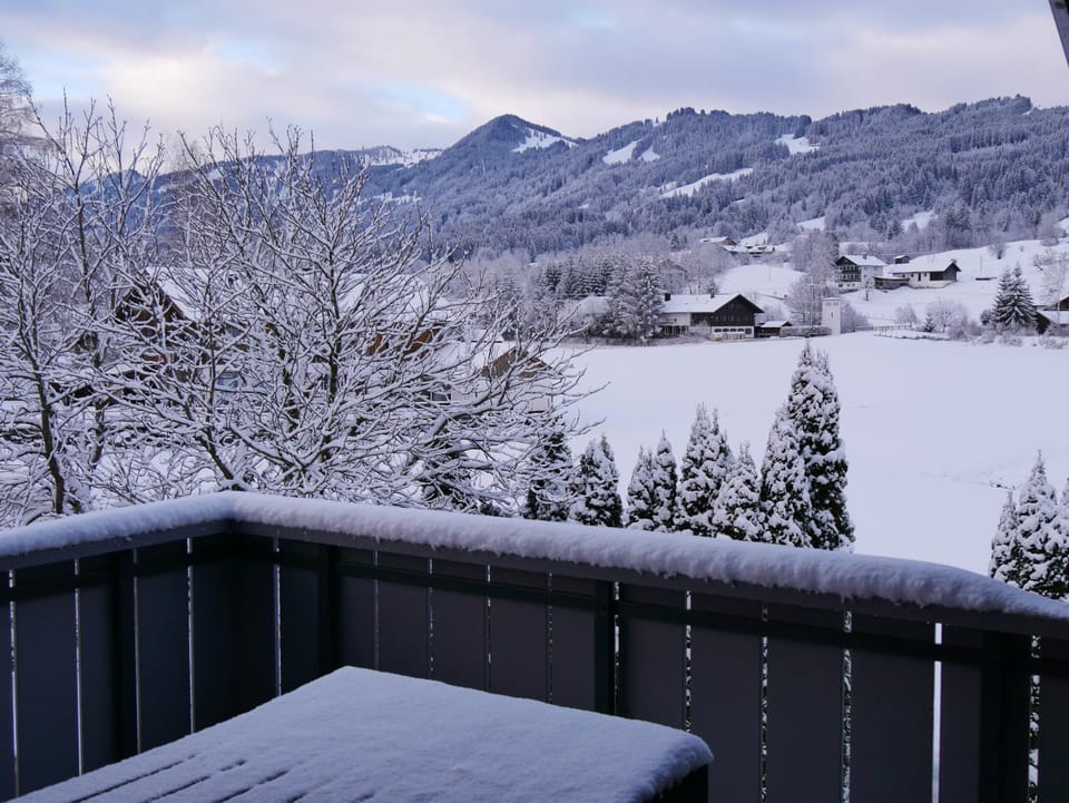 Natural landscape, Winter