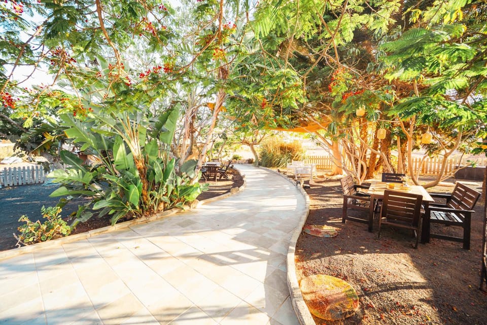Garden, Balcony/Terrace, Garden view