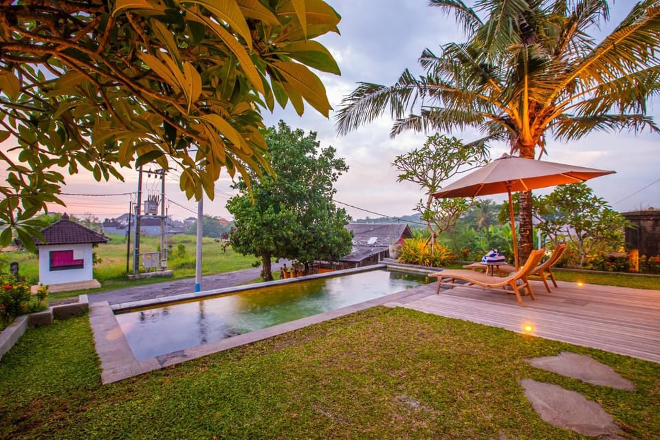 Day, Garden, Pool view, Swimming pool